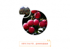 做歐必特的客戶，我們寵你