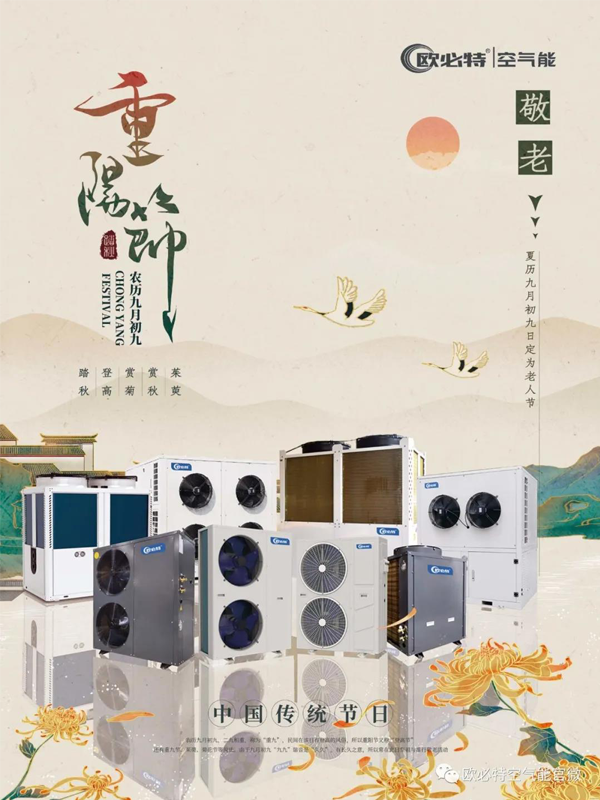 重陽 | 賞菊登高覓秋色，感恩敬老傳孝道
